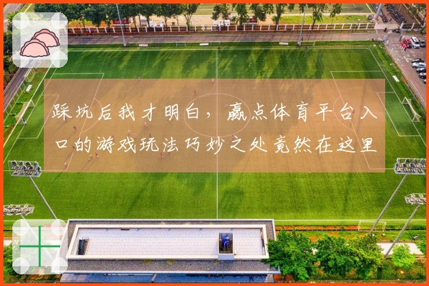踩坑后我才明白，赢点体育平台入口的游戏玩法巧妙之处竟然在这里！